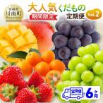 大 くだもの定期便Vol.2 全6回