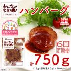みんなの食卓 ハンバーグ 75g×10個