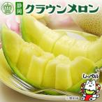 ふるさと納税 磐田市 【毎月定期便】クラウンメロン(白等級)1玉・5ヵ月毎月お届け全5回
