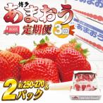 ふるさと納税 春日市 【発送月固定定期便】博多あまおう (250g-270g)×2パック(春日市)全3回