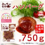 みんなの食卓 ハンバーグ 75g×10個
