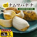 の栽培期間中農薬不使用のナムワバナナ3kg全3回