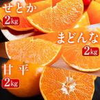 ショッピング甘平 ふるさと納税 八幡浜市 【発送月固定定期便】「蜜時(みつどき)便り」高級3品種　まどんな+甘平+せとか【H64-91】全3回