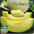 クラウンメロン 白等級 1玉全8回