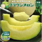 クラウンメロン 白等級 1玉全11回