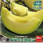 メロン 毎月定期便 訳あり クラウンメロン 1玉
