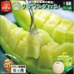 クラウンメロン 白上級 1玉入