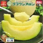 クラウンメロン 訳あり 1玉入
