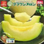 クラウンメロン 訳あり 1玉入