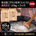 魚沼産こだわり従来コシヒカリ 20kg