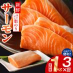 ふるさと納税 泉佐野市 【毎月定期便】サーモン ポーション 小分け 刺身用 訳あり サイズ不揃い 1kg×全3回