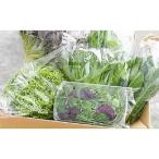 水耕栽培 新鮮 葉物野菜セット全3回