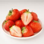 ショッピングふるさと納税 定期便 ふるさと納税 観音寺市 【発送月固定定期便】観音寺市フルーツ食べきり定期便全4回