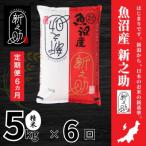 ショッピングふるさと納税 定期便 ふるさと納税 十日町市 【毎月定期便】【定期便6回(毎月発送)】新之助 精米 5kg全6回