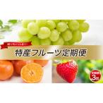 特産 フルーツ 定期便 年3回 果物類 全3回