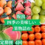四季の美味しい果物詰め 年間4回に分けてお届け