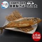 自家製さばへしこ大1尾全6回