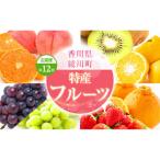 特産 フルーツ 定期便 年12回 全12回