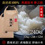 農家直送 20kg
