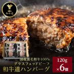 和牛道ハンバーグ120g×6食セット