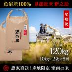 農家直送 20kg