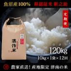 農家直送 10kg