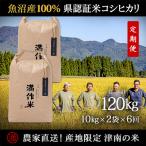県認証特別栽培魚沼産コシヒカリ20kg 10kg×2袋