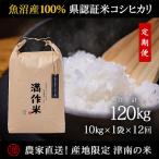 県認証特別栽培魚沼産コシヒカリ10kg 10kg×1袋