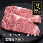 A5 4等級 博多和牛サーロインステーキ 200g×2枚