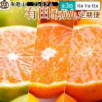 ショッピングふるさと納税 定期便 ふるさと納税 広川町 【発送月固定定期便】厳選 柑橘定期便SS(10〜12月)全3回