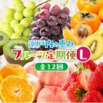 ふるさと納税 高松市 【発送月固定定期便】高松市自慢のフルーツ【L】全12回