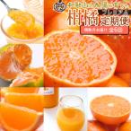 厳選 柑橘定期便S 偶数月 全6回