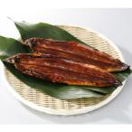 鰻天屋の九州産うなぎ 蒲焼 約140g×2尾セット全4回