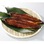 鰻天屋の九州産うなぎ 蒲焼 約140g×2尾セット全5回