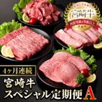 ふるさと納税 門川町 【毎月定期便】宮崎牛スペシャル定期便A全4回