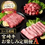ふるさと納税 門川町 【毎月定期便】宮崎牛お楽しみ定期便A全3回