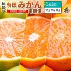 柑橘定期便SS 10~12月 全3回
