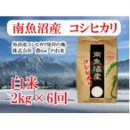 ふるさと納税 南魚沼市 【毎月定期便】南魚沼産 コシヒカリ 白米2kg全6回