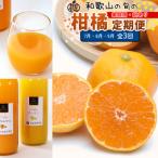柑橘定期便S 4~6月 全3回