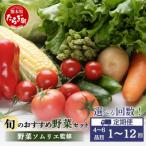 野菜ソムリエ監修 旬の野菜セット 4~6品