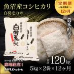 農家直送 魚沼産コシヒカリ 精米 5kg×2袋