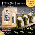 農家直送 魚沼産コシヒカリ特別栽培 精米 5kg×2袋