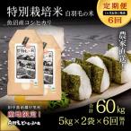 農家直送 魚沼産コシヒカリ特別栽培 精米 5kg×2袋