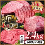 ふるさと納税 羽島市 【毎月定期便】飛騨牛 赤身定期便 計2.4kg 焼肉 BBQ すき焼き しゃぶしゃぶ ブロック全4回