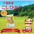 ふるさと納税 大網白里市 【毎月定期便】コシヒカリ 精米 5kg (5kg×1袋)全3回