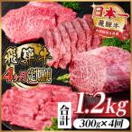 飛騨牛 赤身定期便 計1.2kg