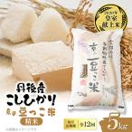 コシヒカリ 京の豆っこ米 精米5kg
