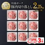 川南ポ-ク切り落とし2.25kg 250g×9袋全3回