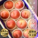ふるさと納税 紀の川市 【発送月固定定期便】名産「あら川の桃」 秀品 約3.5kg(9〜10個入)全2回