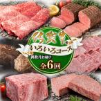 佐賀牛 いろいろコース 全6回